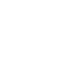 sack-dollar