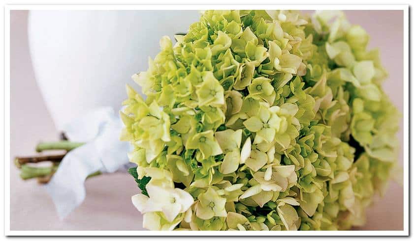 Hoa Cầm Tay Cô Dâu: Bí Mật Tạo Nên Vẻ Đẹp Rạng Ngời